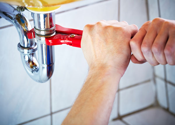About Cranks Plumbers